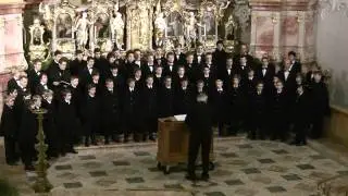 Beethoven: Die Himmel rühmen (Wiltener Sängerknaben, Stecher)