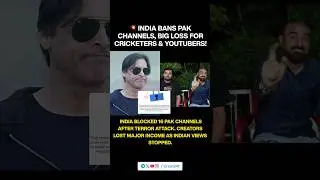 India Bans Pakistani Channels | Big Loss for Cricketers & YouTubers