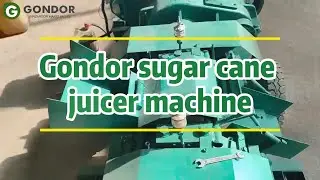 Gondor Sugar Cane Crusher Machine - Efficient & Powerful Sugarcane Juicing System #fruitprocessing