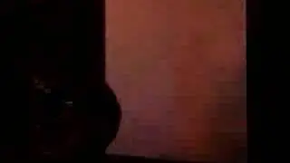 Hive Collective Visuals