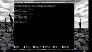 Interfejsy sieciowe systemu Linux