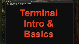 MacBook Air Terminal Intro and Basic Commands #MacBook #terminal