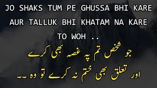 Amazing Dosti Quotes | Hazrat Ali Ra Aqwal | Friendship Quotes | Urdu Quotes | Heart Touching Quotes