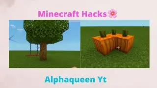 Minecraft Hacks | Alphaqueen Yt
