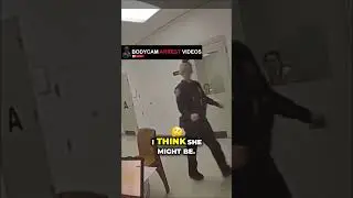 Officer Reveals Suspect's Shockingly High BAC Score