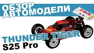 Автомобиль на радиоуправлении багги Thunder Tiger EB-4 S2.5 Pro: обзор, распаковка, мнение эксперта.