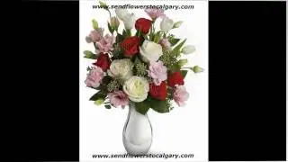 Send flowers from Myanmar to Calgary Alberta Canada