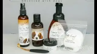 Eye Envy Dog Tear Stain Remover and Preventative Powder Review
