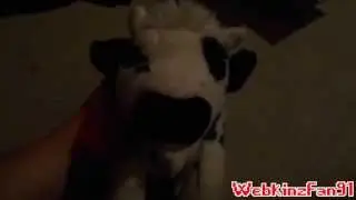 WebkinzFan91 - Signature Normande Cow Review |Monday|