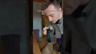 Welches Halsband ist f&uuml;r meinen Hund geeignet?