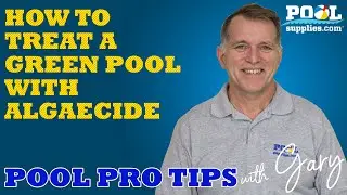 How to treat a green pool with algaecide | Pool Pro Tips With Gary | PoolSupplies.com
