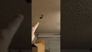 What Happens When You DISABLE Garage Safety Sensors