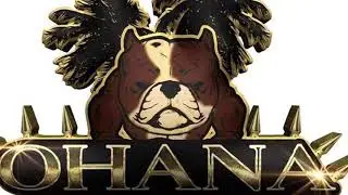 Shooter of Ohana Bullies