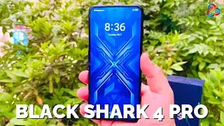 Black Shark 4 Pro Magic Mirror Black FIRST LOOK! BEAST IS BACK!