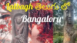 Bangalore Karnataka Lalbagh Botanical garden famous 🌲☃️ trees and top second Part తెలుగు లో యాత్ర 