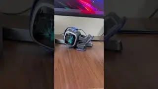 EMO Pet Playing Hands Up! 🙌🏼 | &ldquo;Gotcha! &ldquo; 😅 Sorry EMO 😓