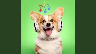 Zen For Dogs
