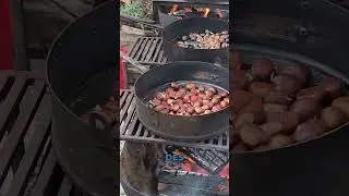 F&ecirc;te de la Ch&acirc;taigne &agrave; Collobri&egrave;res