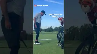 Tiger&rsquo;s back and he&rsquo;s still a magician 👀