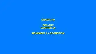 Grade 10 Chapter 3 Locomotion in Fish