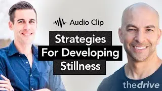Reliable strategies for developing stillness | Peter Attia, M.D. & Ryan Holiday