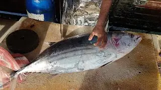 EXPERT CUTTING SKILL SKIPJACK TUNA FISH | TUNA FISH CUTTING SKILLS | EXPERT KNIFE SKILLS IN ACTION