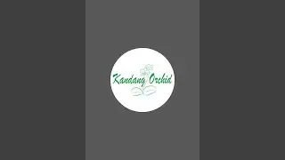 Kandang Orchid sedang live sekarang!