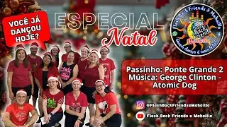 VOC&Ecirc; J&Aacute; DAN&Ccedil;OU HOJE? &ndash; Passinho de Flashback Ponte Grande 2 - M&uacute;sica George Clinton - Atomic Dog