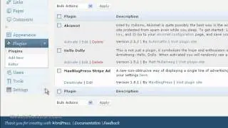 Wordpress Tutorial - How to Create Ads That Appear Everywhere with Stripe Ad