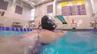 The 2019 Johnston Girls Swim Team