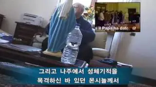 바티칸에서의 성체기적 2, Eucharistic Miracle in the Vatican (2010. 2. 27)