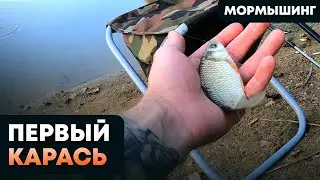 Первый карась на мормышинг! Ловим карася и не только на DAYO NANO PREDATOR 0,2-2 + DAYO LENA 900