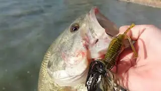 Spring Bass Fishing In Reno Nevada!