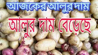 ২৬ December 2025 আজকের আলুর দাম | আলুর দাম বাড়ছে | potato Price today's