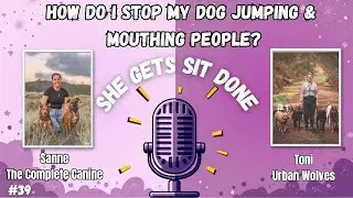How do I stop my dog jumping at people when greeting? She Gets Sit Done 39