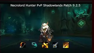 The Best Hunter Spec?- 9.2.5 Beast Mastery Hunter PvP - WoW Shadowlands PvP