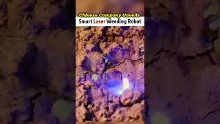 China's 24/7 Laser Farming Robot Is Replacing Herbicides | China Tech Hub
