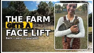 The farm gets a face lift