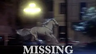 Missing (1982) Costa-Gavras Movies Scene and Review