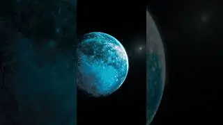 A WHOLE NEW PLANET??!! (Ammonite)