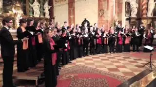 Wiener Kammerchor  - 