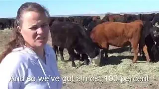 Visit to an Oregon cattle ranch