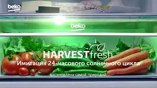 Beko HarvestFresh | Вдохновлено природой, насыщено светом
