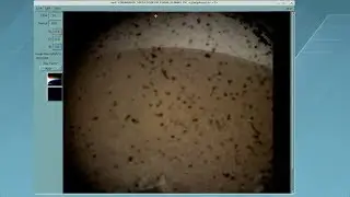 NASA&rsquo;s InSight landed on Mars!