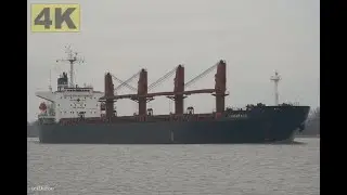 TAMARACK - Shipspotting Germany 🇩🇪 IMO 9261970 - River Weser near City Oberhammelwarden - 4K VIDEO