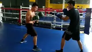 VSP Boxing VietNam