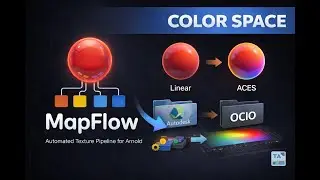 Manage Texture Color Spaces in Maya &ndash; MapFlow Arnold Workflow