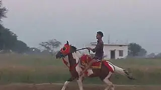 Sarvesh yadav ji ka ghoda karanda 