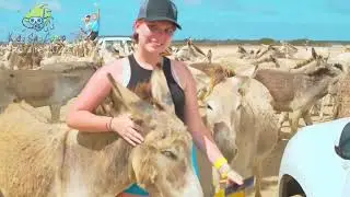 Kids Sea Camp Bonaire week 1 2023