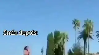 Shitpost para status